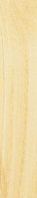 holz esche natur